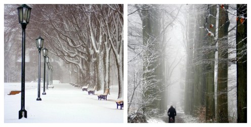 2192997333_a450ddec65_o1